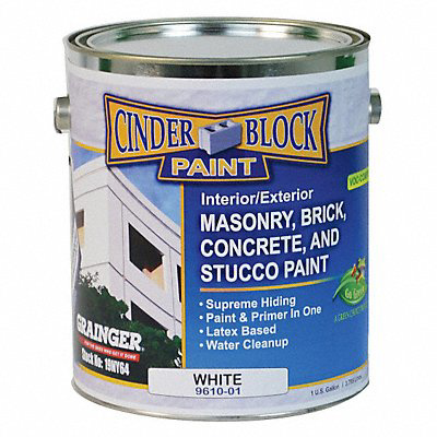 Exterior Paint White 1 gal.