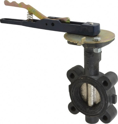 2" Pipe, Lug Butterfly Valve